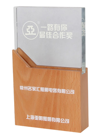 上海亞明2020年度最佳合作獎(jiǎng)
