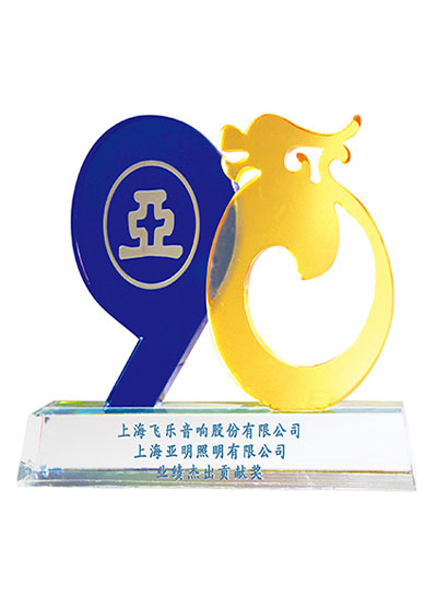 上海亞明業(yè)績(jī)杰出貢獻(xiàn)獎(jiǎng)