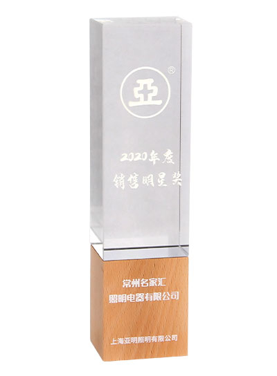 上海亞明2020年度銷(xiāo)售明星獎(jiǎng)