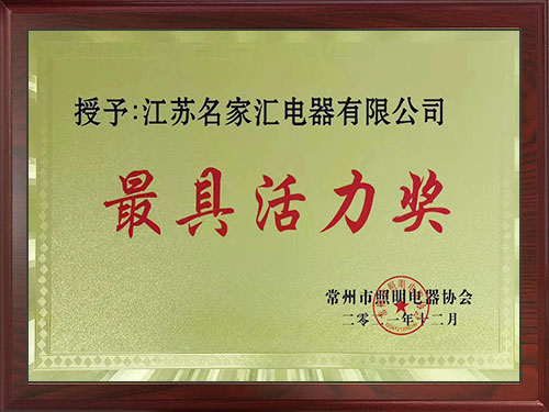 最具活力獎(jiǎng)