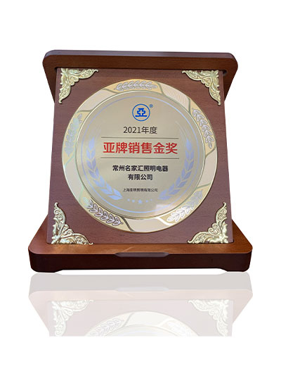 2021年度亞牌銷(xiāo)售金獎(jiǎng)